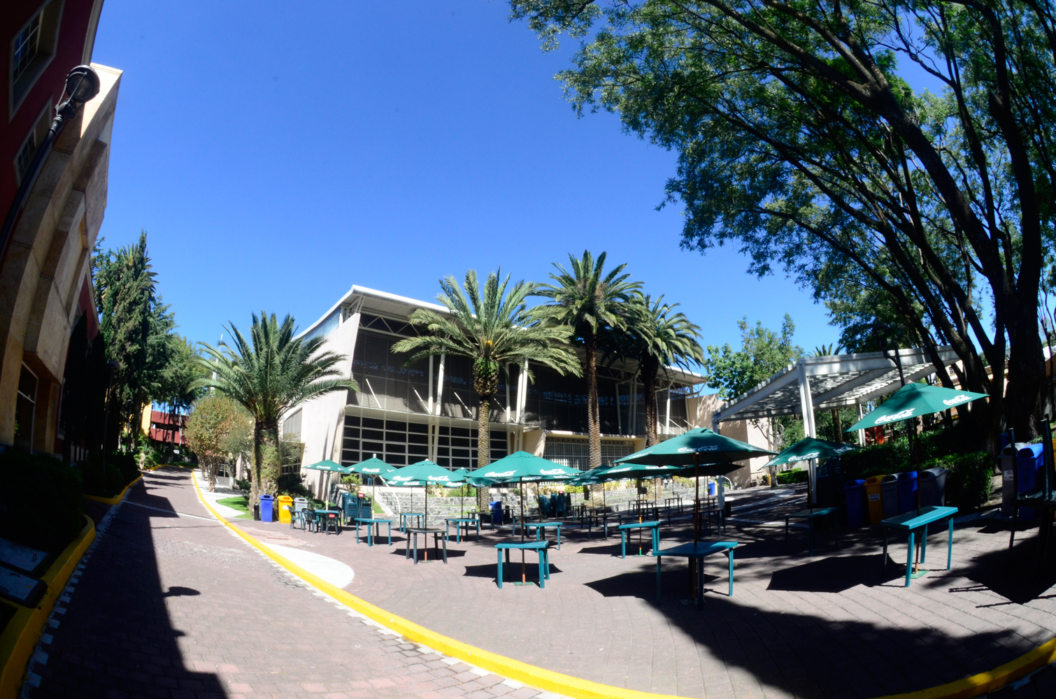 Plaza Palmeras, ITAM, campus Río Hondo